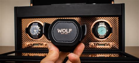 wolf watch winder rolex settings